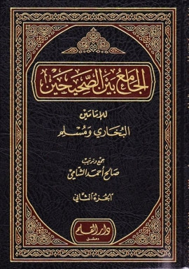 كتاب الجامع بين الصحيحين - الجزء الثاني