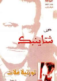تورتيلا فلات