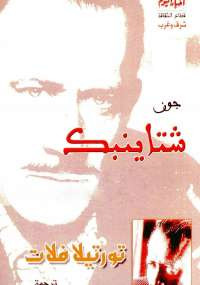 تورتيلا فلات