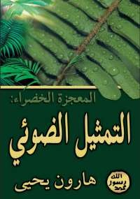 المعجزة الخضراء .. التمثيل الضوئي